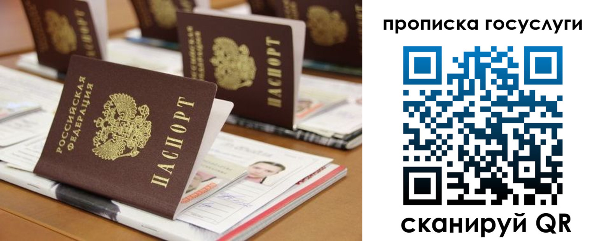 регистрация для дет. сада в Кировске